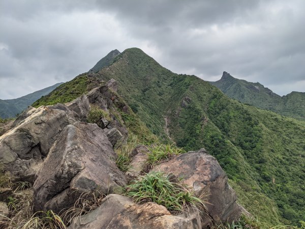 劍龍稜無耳茶壺山1468087