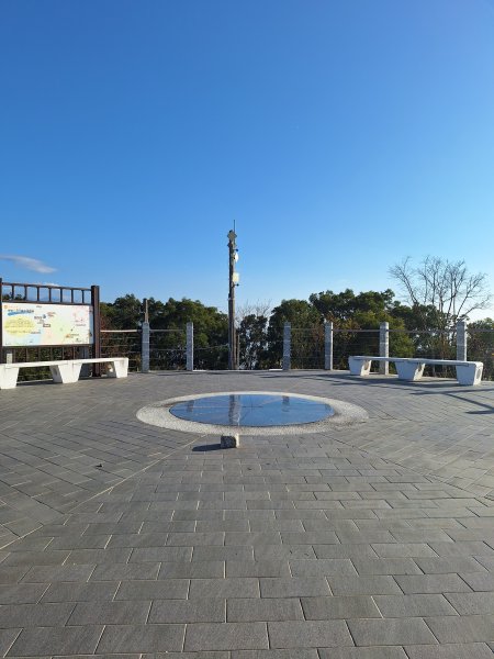 八角崠山+協雲宮櫻花步道202502152712855