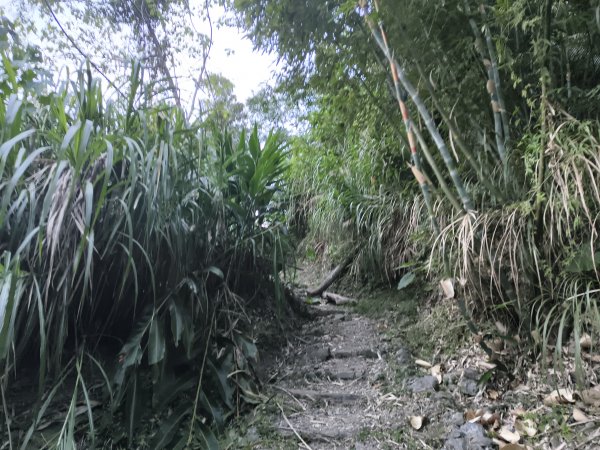 [漫遊縱谷 愛在花東-09/10] 2025_1012 米棧古道2913551