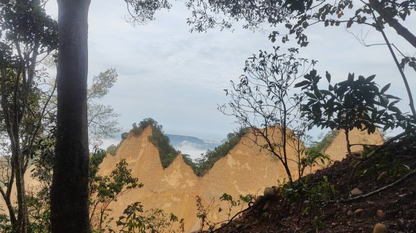 火炎山甜甜圈賽(無限循環)17圈2026年4月25~26日3044440