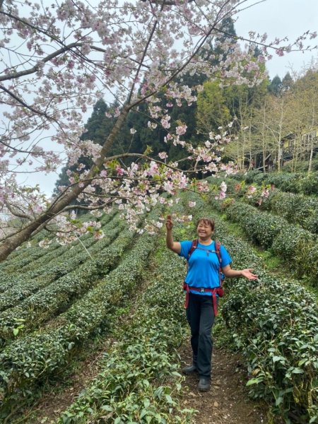 鵝公髻山（小百岳）鵝公髻山東北峰2449880