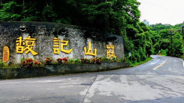 台灣藍鵲3074009