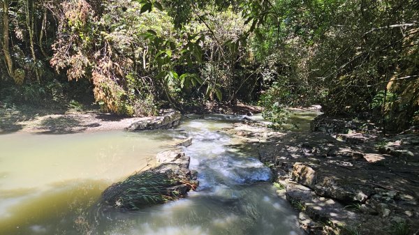 澀水森林步道2538090