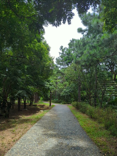 2025.07.20－霄裡好風光：大湳森林公園&亮亮健康樂園2841529