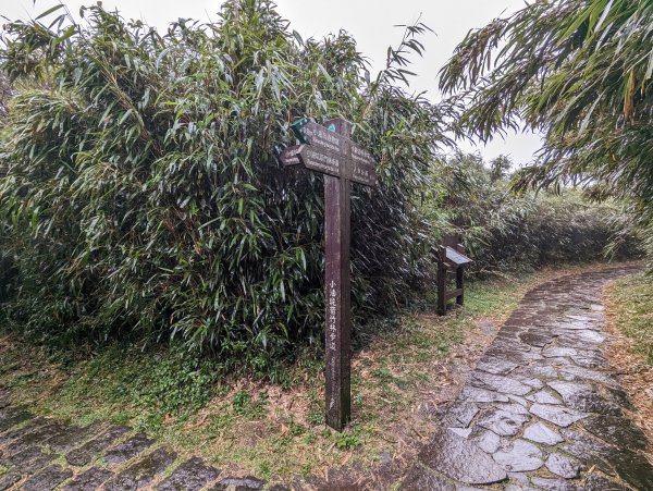 2023-12-23 臺北大縱走第二段2793120