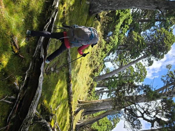 20240927 志雪劍2614922