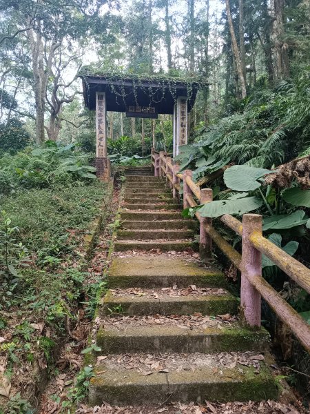 鳴鳳山古道2983682
