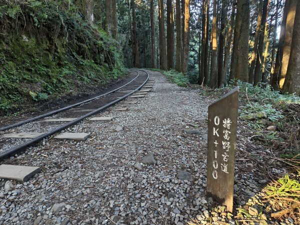 [百山百鳥尋旅-12/15] 2025_0928 特富野古道2899600