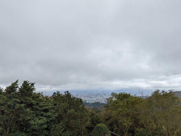 2023-01-23 劍潭山、大崙頭尾山親山步道2792372