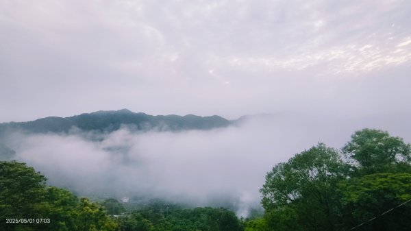 翡翠水庫壩頂 #火燒雲雲海 #日出雲海 #鱷魚島 #藍腹鷴 4/292773796