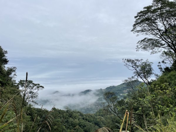 小百岳關刀山1981095