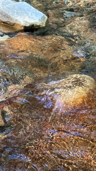 裡冷上唐麻丹O繞+蝴蝶谷2742936