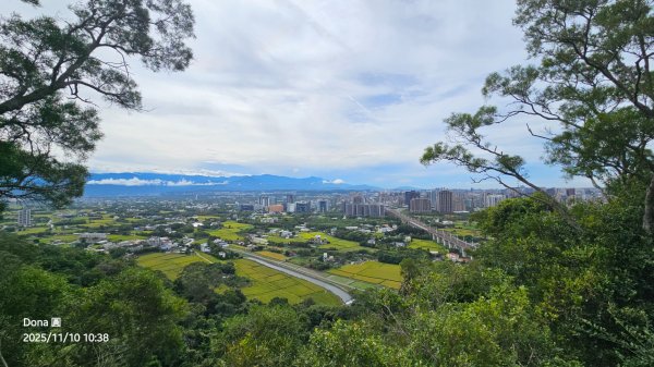 20251110竹北文山步道＆犁頭山稜線步道賞高鐵+大墩山柿園2934062