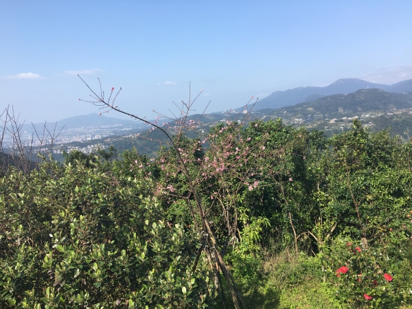 [台北市林/內湖] 大崙頭尾山92426