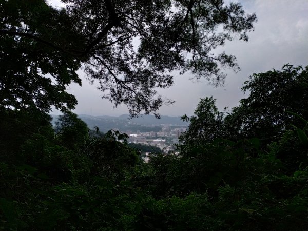 天母水管路步道(天母古道)1099004