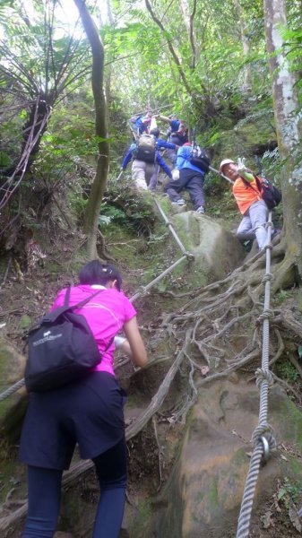 指南宮→猴山岳前峰→猴山岳主峰→草湳948537