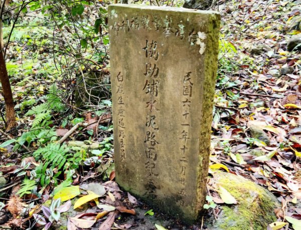 【中級山】天梯直上雲霄，一切美景盡在眼底，谷關七雄白毛山2742444