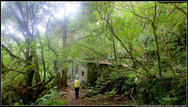 小觀音山群峰、大屯溪古道258561