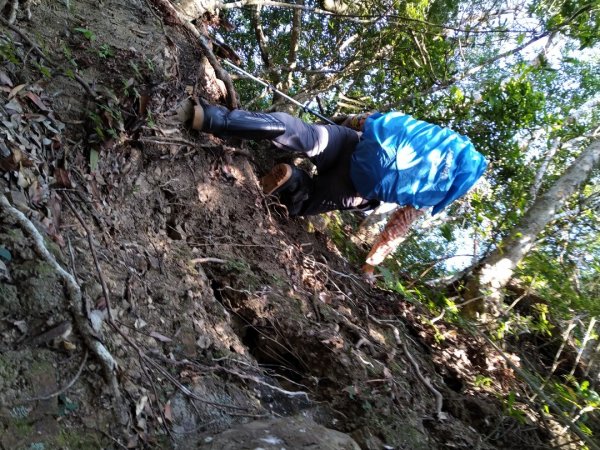 ▲鵝公髻山西南南峰,鵝公髻山西南峰,鵝公髻山,鳥嘴山1539974