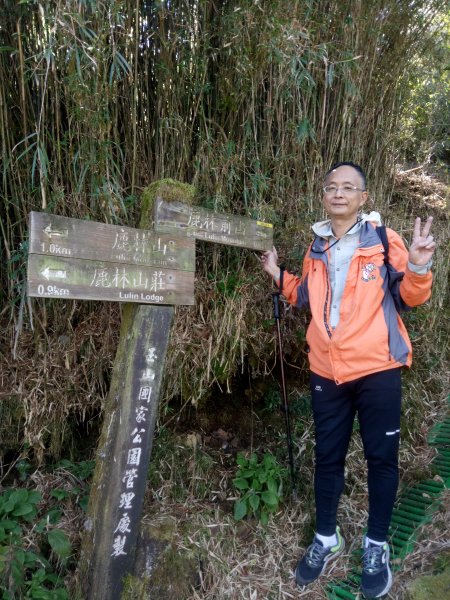 塔塔加三山+東埔山1942364