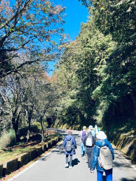 20251209 阿里山-小笠原觀景平台、祝山觀日步道2959808