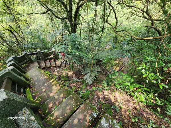 暖東峽谷漫步2095177