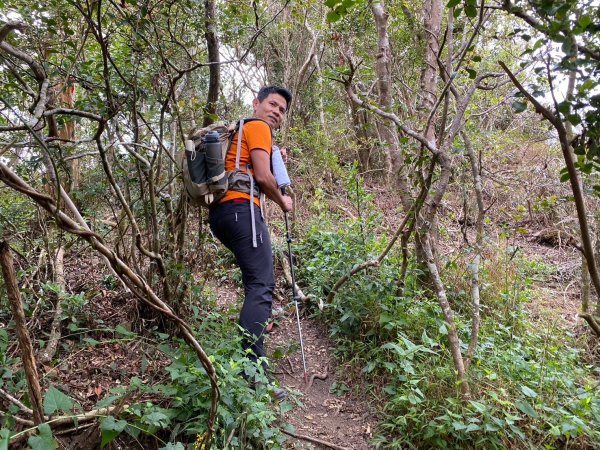 巴層巴墨山【一趟讓人刷新三觀的山林之旅】2714490