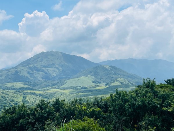 1140621冷水坑-擎天崗-石梯嶺2817699