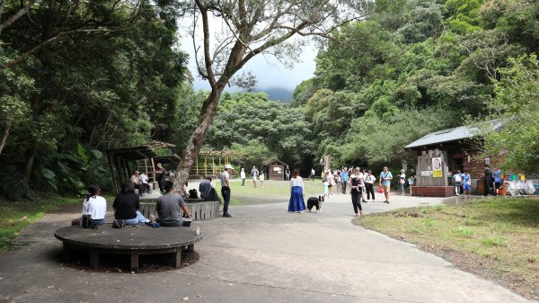 林美石磐步道登山健行趣(步道)2273740