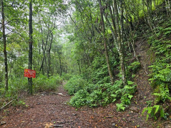 四大鳥山之首小劍山2773945
