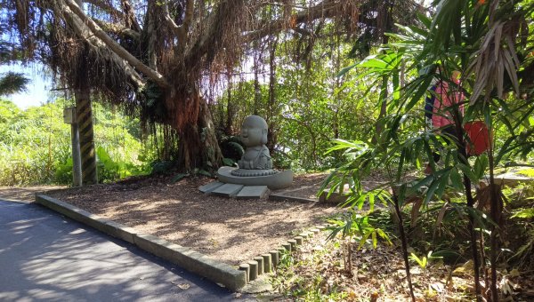 (姨婆趴趴走)第三十一集:新北金山獅頭山公園、神秘海岸、老街縱走2340215