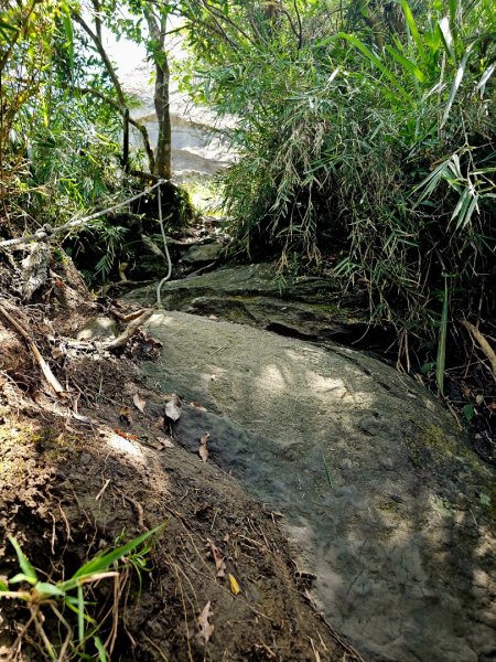 三腳南山-小百岳#65-嘉義縣大埔鄉2788697