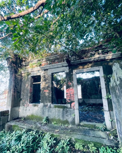 基隆尋找7隻傘人家族2712730