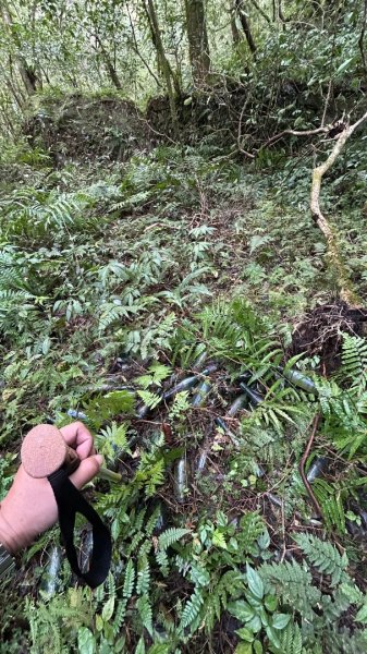 芃芃山西北稜大內台2693942