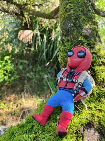 2023.12.08 土庫岳2695276