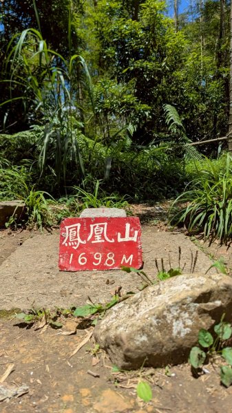 鳳凰山步道（溪頭）2838216