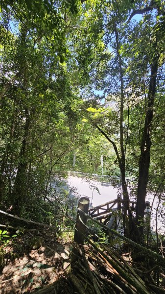 【被遺忘的南橫仙境】中之關、天池步道O繞10K2798205