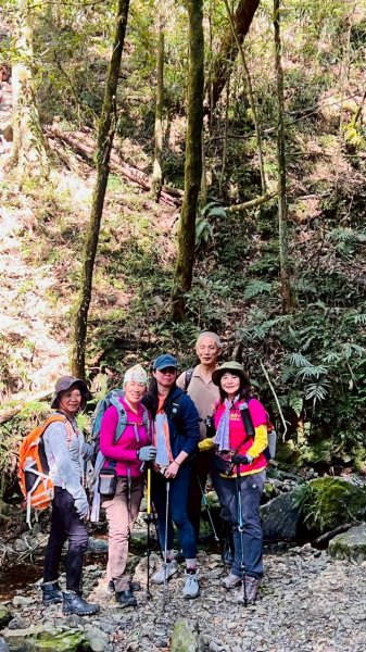 🌈3/14（六）赫威神木群+赫威山✨FB：熊熊趴爬走🌈3015377