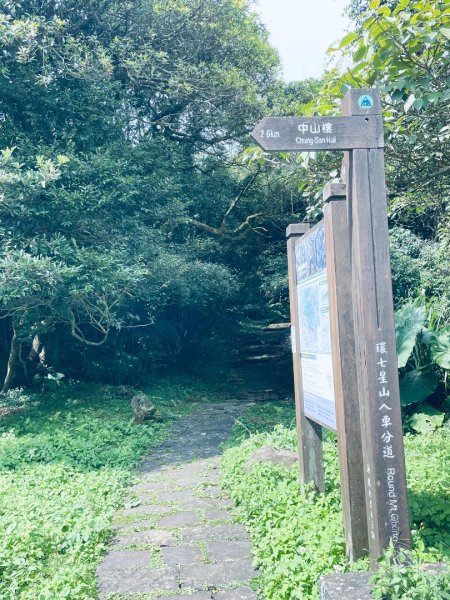 20261009 菁苗步道（苗圃登山口-菁山自然中心-前山公園）3133899