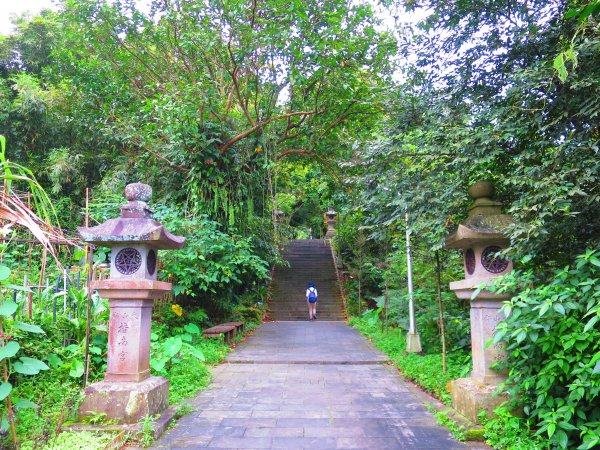 穀雨時節 走指南宮朝聖步道 遇見油桐花 也遇見自己2156747