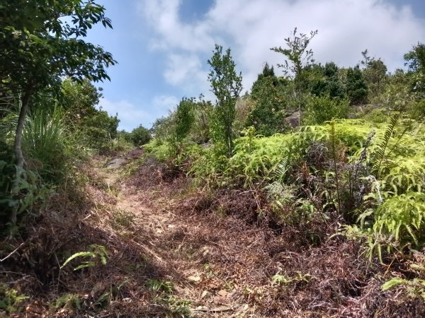 內湖區大丘田保甲路+開眼山+白石湖山+白石湖山東峰+大邱田山+消防山O型2858911