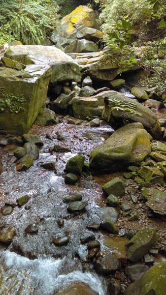 滑瀑岩洞、溪水清澈的基隆暖東峽谷步道974255