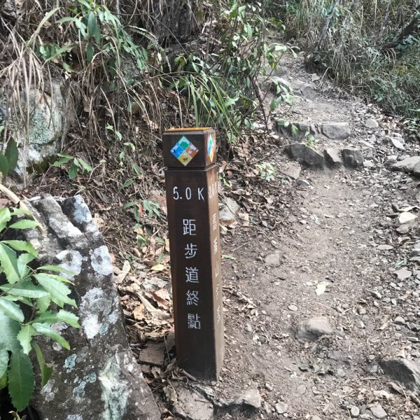 谷關七雄 馬崙山（老二）2023.03.042051362