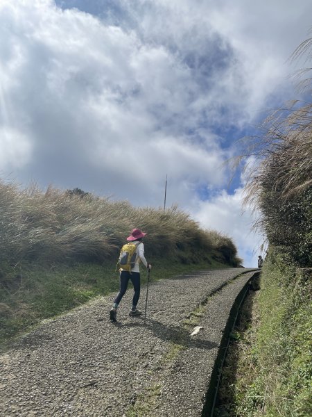 好天氣不爬山要幹嘛！？縱走七星山主東峰 遇見絕美秋芒1910185