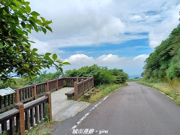 【台北北投】搭捷運公車爬山趣。 小百岳集起來。編號1小百岳~大屯山主峰步道1762766