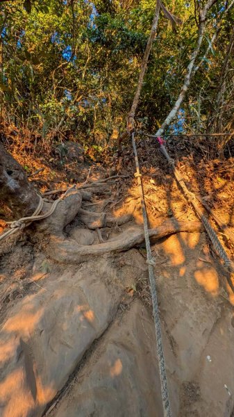 大橫屏山步道2977336