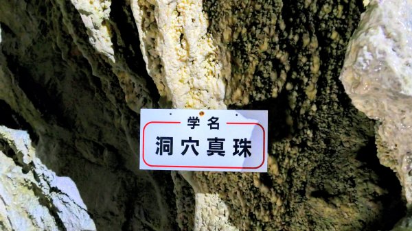 地心年輪之飛驒大鐘乳石洞2982430