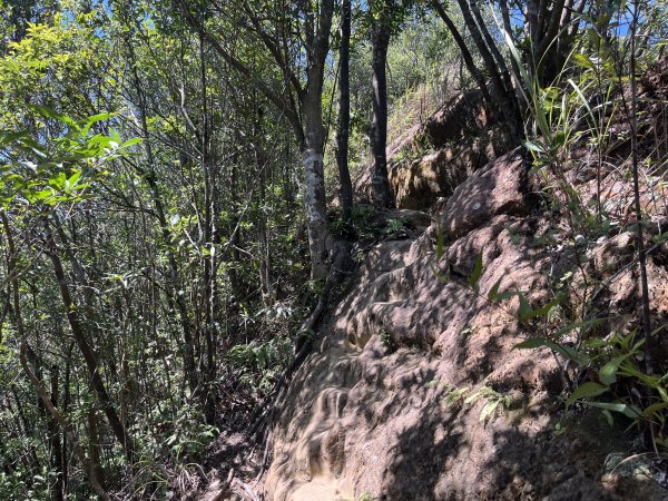 [微笑山線_第九段] 2025_0914 二格山系_皇帝殿西峰2889677
