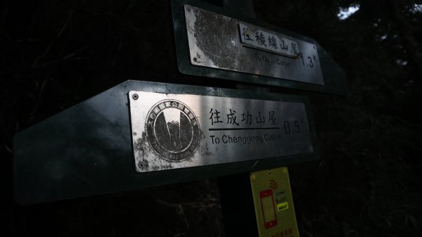 奇萊主山登山健行趣(百岳20號)2290039