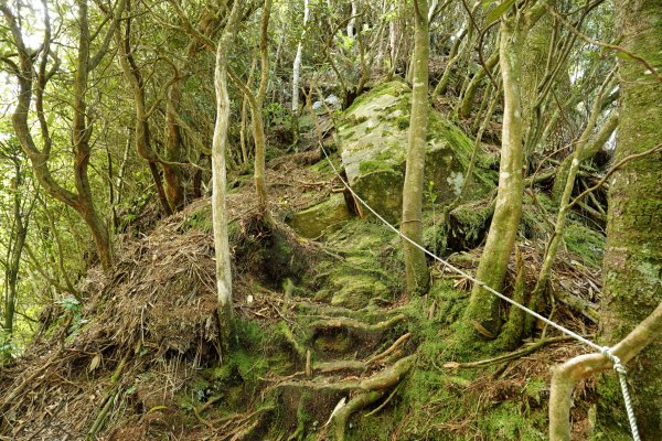 新竹 五峰 油羅山、霞山2798281